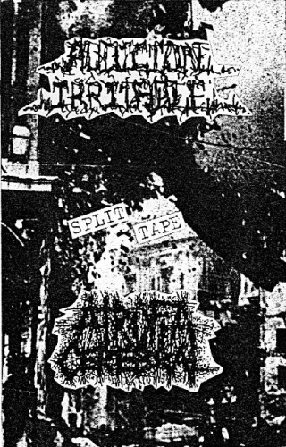 Atrofia Cerebral : Audición Irritable - Atrofia Cerebral